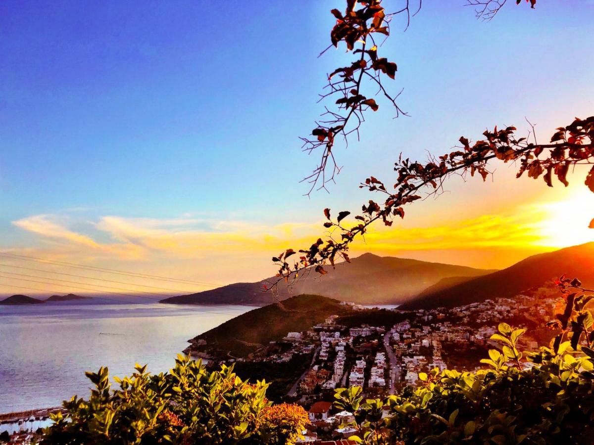Villa Valo Kalkan Buitenkant foto
