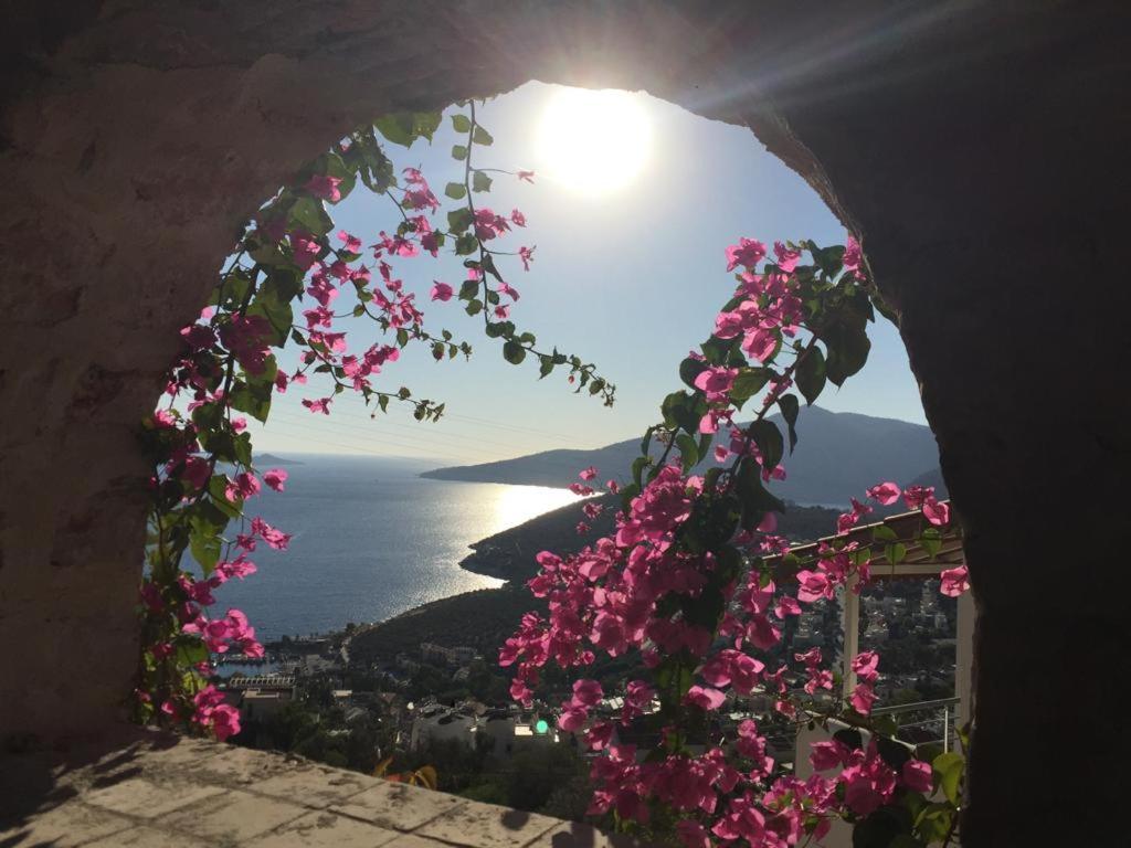 Villa Valo Kalkan Buitenkant foto