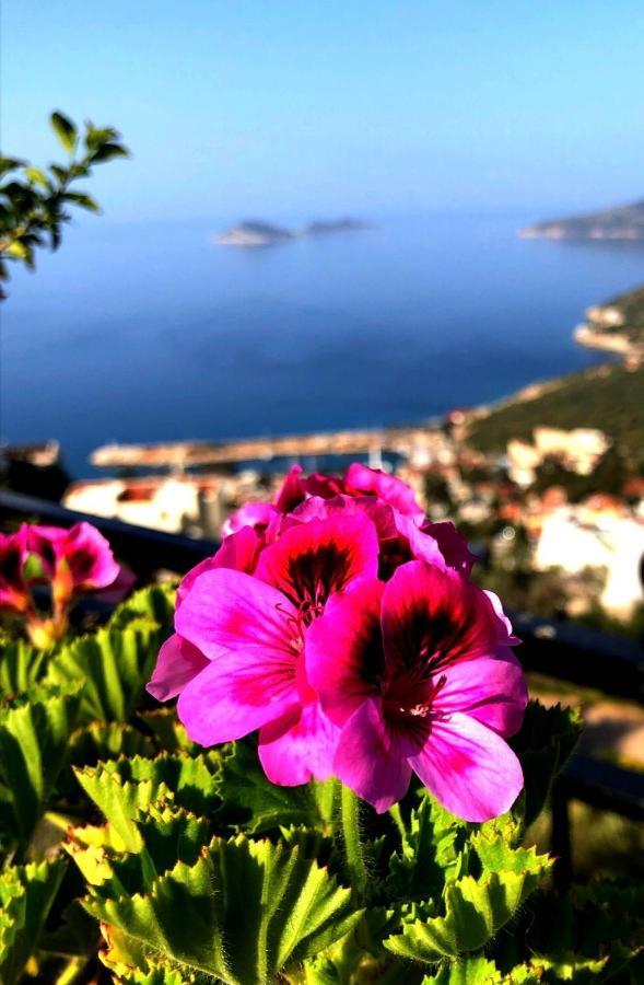 Villa Valo Kalkan Buitenkant foto
